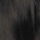 MS Dark Brown