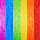 MS Rainbow