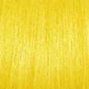 MS Yellow
