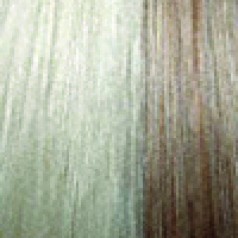 14RH613