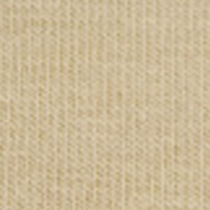 GM Beige 579