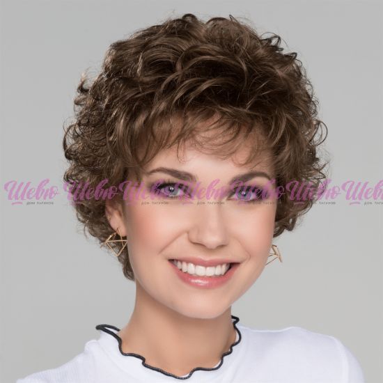 Изображение Avanti