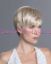Изображение Pixie