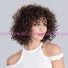 Изображение Disco