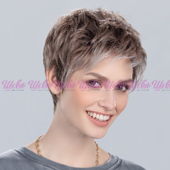 Изображение Chat