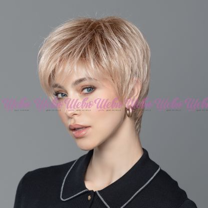 Изображение Elan