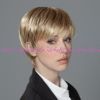 Изображение Pixie